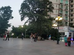 -龙头寺公园