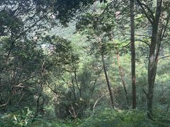 -龙湾潭国家森林公园