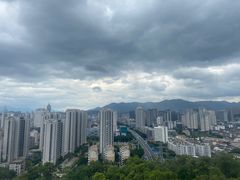 -金鸡山公园