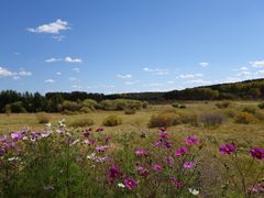 -塞罕坝国家级自然保护区