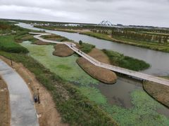 -春花秋色城市公园