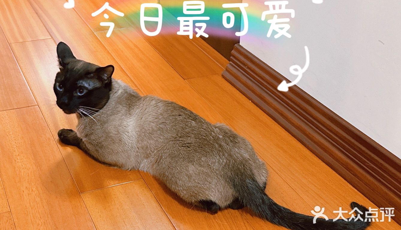 晒晒我的年夜饭 一家人大团圆