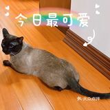 晒晒我的年夜饭 一家人大团圆
