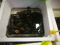 -渔人湾码头海鲜市场负二楼