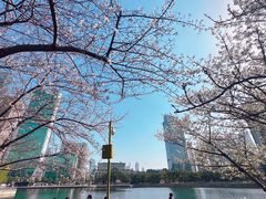 -西北湖绿化广场