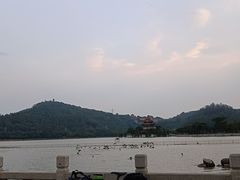 -顺峰山公园