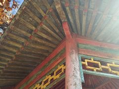 -北京十三陵国家森林公园蟒山景区