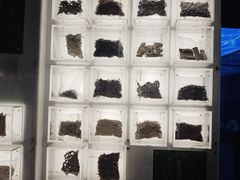 -广东中医药博物馆