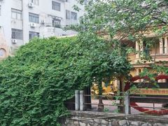 -晓港公园