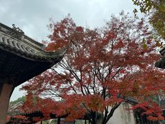 -惠山古镇·寄畅园