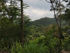 -象头山国家级自然保护区