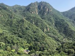 -大岭沟猕猴桃谷风景区