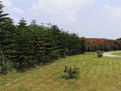 -迪茵湖田家舍生态农场