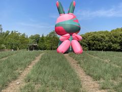 -同里国家湿地公园