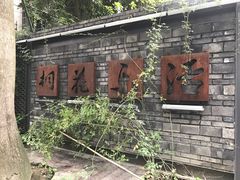 -泡桐树街