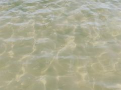 -碧海金沙