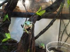 -宠物世家(仲盛世界商城店)