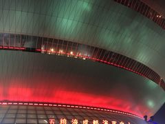 -成都金融城演艺中心