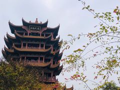 -黄鹤楼公园(黄鹤楼)