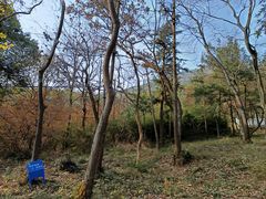 -句容茅山景区