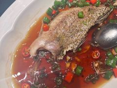 -道海元·潮粤汇(前滩店)