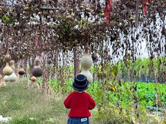 -汉长安城未央宫国家考古遗址公园