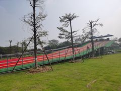 -长洲岛都市农业公园