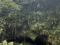-海口火山口国家地质公园