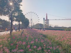 景点-花博汇(知音花月夜)