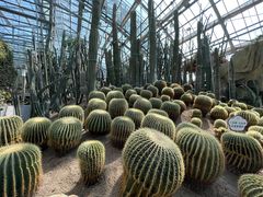 -南山植物园