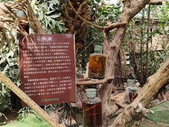 -呀路古热带植物园