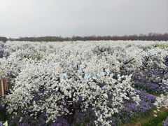 -江苏三台山国家森林公园