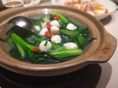 鲜贝柱浸农场菜心-小炳胜(卓悦中心店)