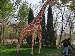 -南戴河国际娱乐中心