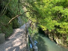 -石台牯牛降景区