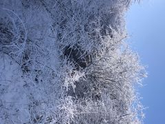 -太子岭滑雪场