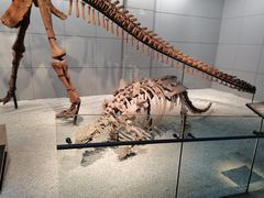 -浙江自然博物院(杭州馆)