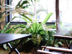 -J Create城市露营咖啡·简餐·宠物(上海动物园店)