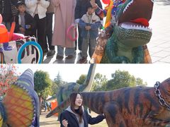 -中国西峡恐龙遗迹园