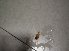 -厦门燕子坞客栈