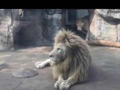 -南昌动物园