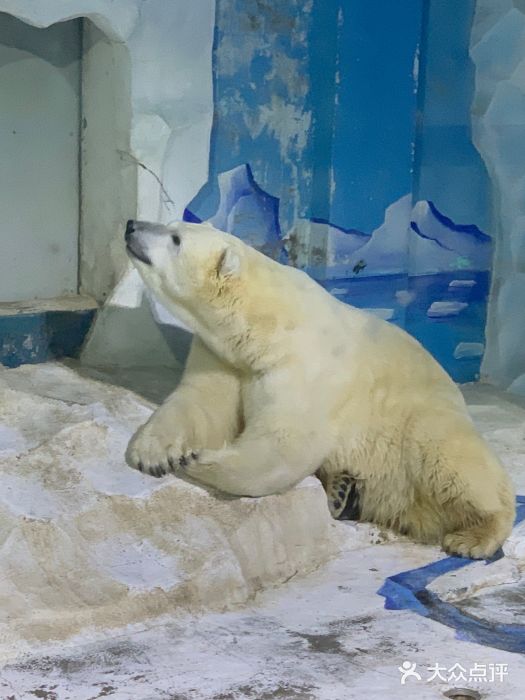 大连森林动物园图片