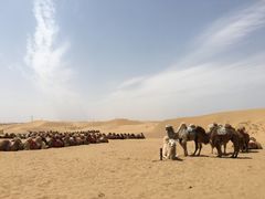-银肯塔拉沙漠生态旅游景区