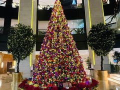 -皇朝尊会(龙之梦大酒店)