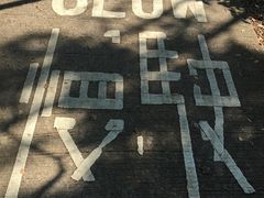 -南丫岛