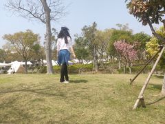 -春花秋色城市公园