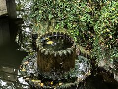 -绮园景区