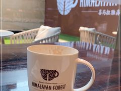 -喜马拉雅森HIMALAYAN FOREST