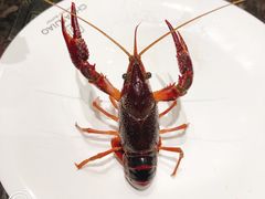 -川骄海鲜自助(河东店)