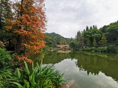-云溪植物园